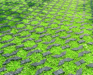 Betogreen Alkern Betogreen Alkern